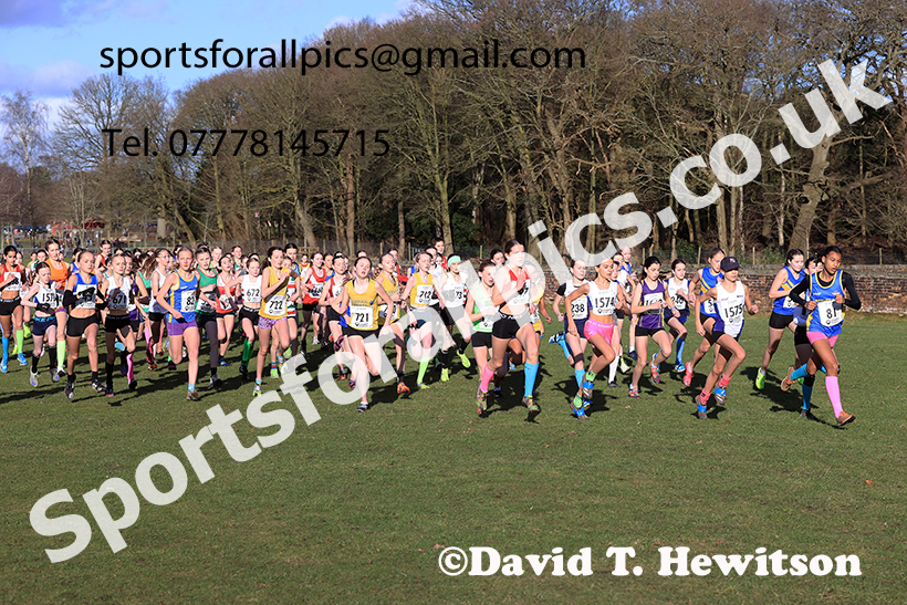 Girls under-13s 2025 Northern Cross Country Champs, Tatton Park, Knutsford, Cheshire. Photo: David T. Hewitson/Sports for All Pics